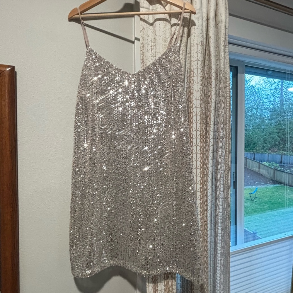 Banana Republic Sparkling Silver Sequin Dress